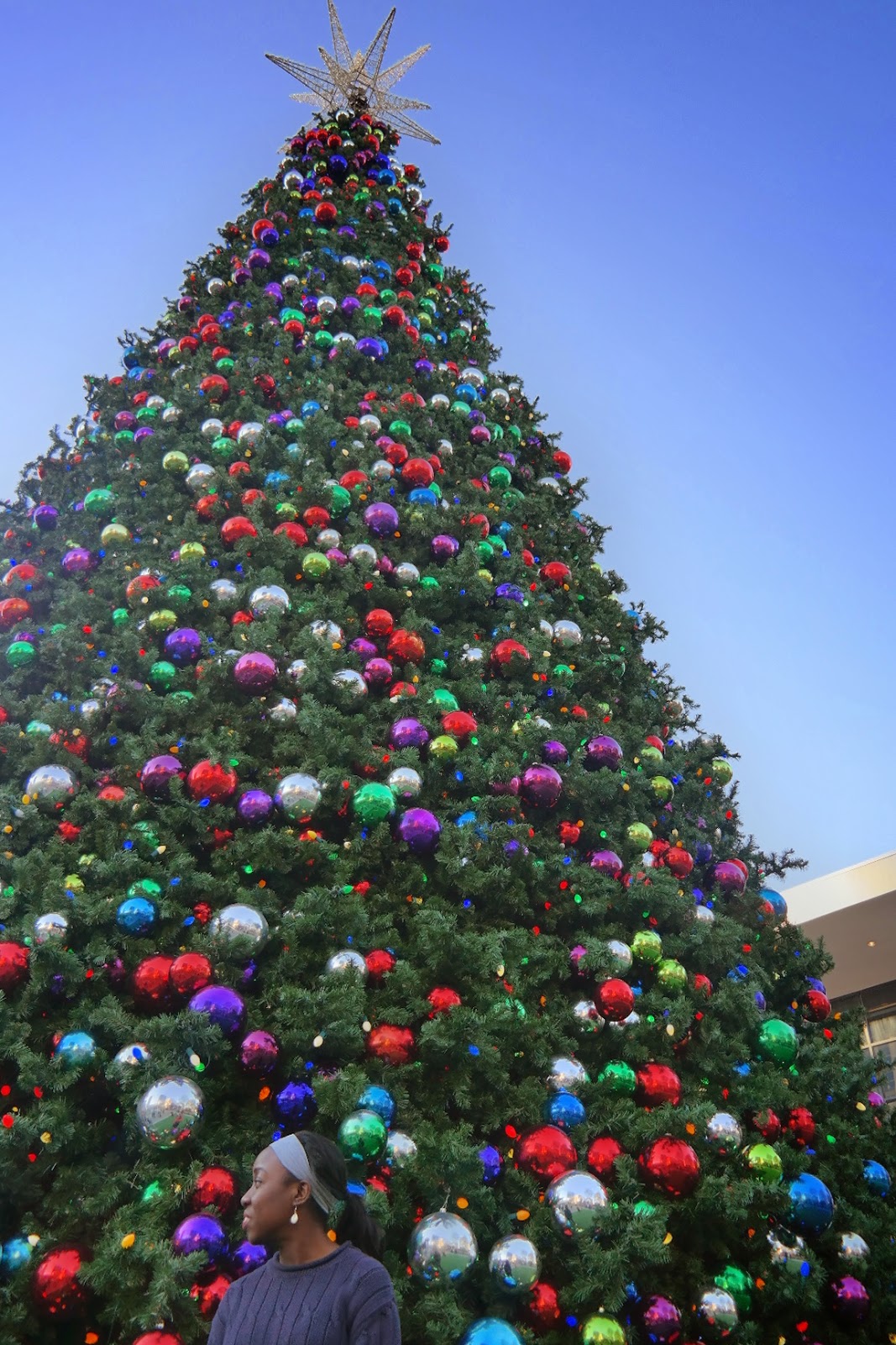 Berry Dakara O Christmas Tree Atlantic Station
