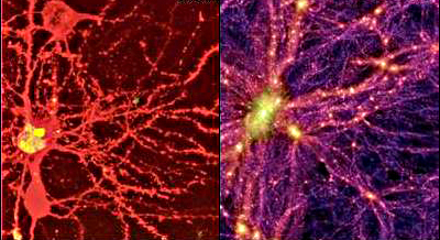 Brain Galaxy