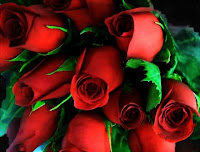 Significado del color de las flores . rosas rojas