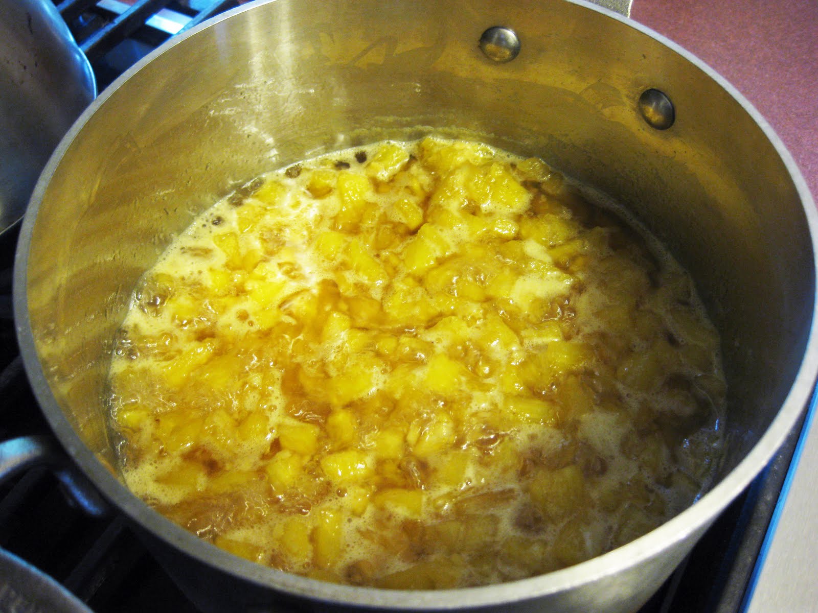 Bloatal Recall Pineapple Ginger Jam