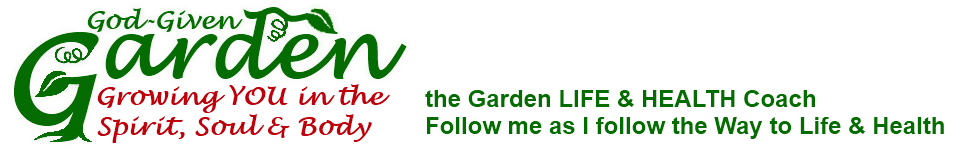 God-Given Garden: Growing YOU in the Spirit, Soul & Body
