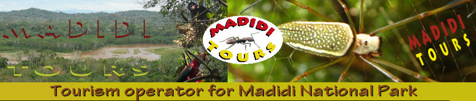 Camping Madidi Tours