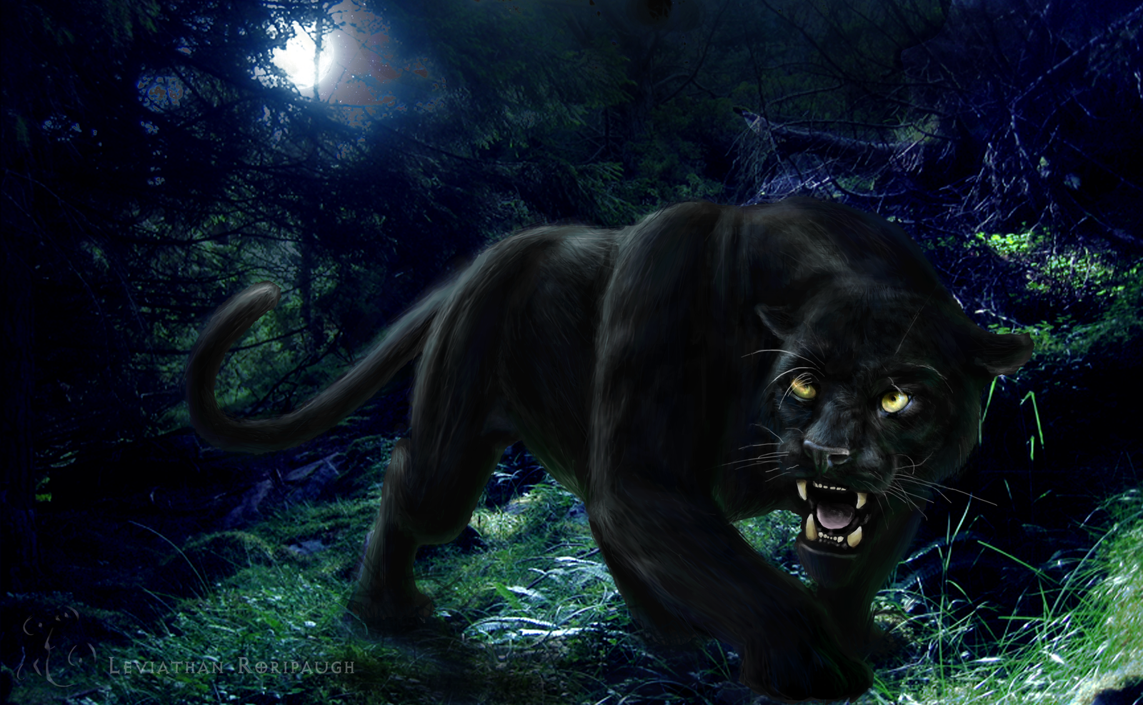 Unduh 8000 Wallpaper Black Panther 3d HD Paling Baru Unduh 8000 Wallpaper Black Panther 3d HD Paling Baru