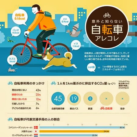 Japanese Cycling Rules a Mystery for Japanese Cyclists (Infographic)