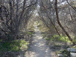 The Barton Springs Greenbelt trail