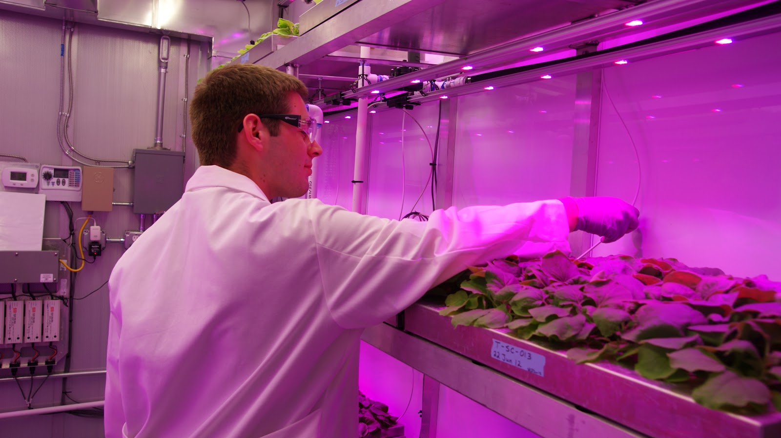 Controlled Environment Agriculture