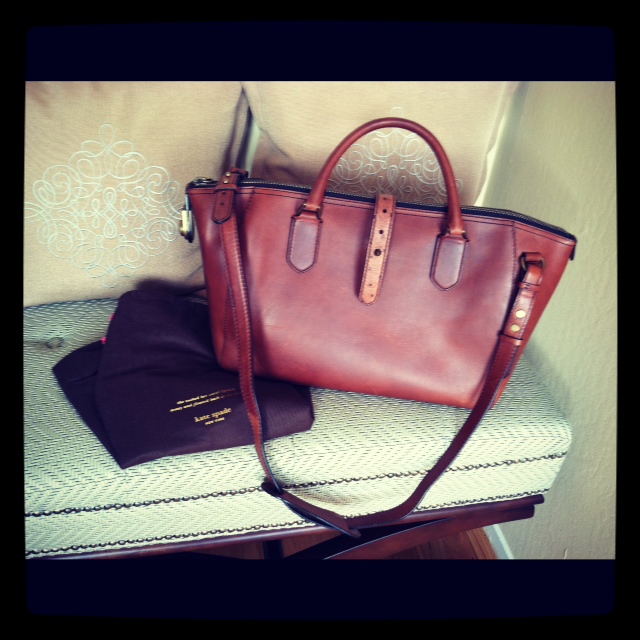 Life in the Fog Kate Spade Westward Adventurer Satchel