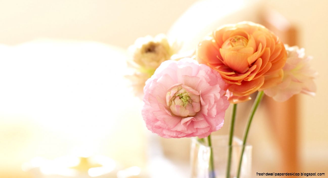 Interior Flower Interior Flower