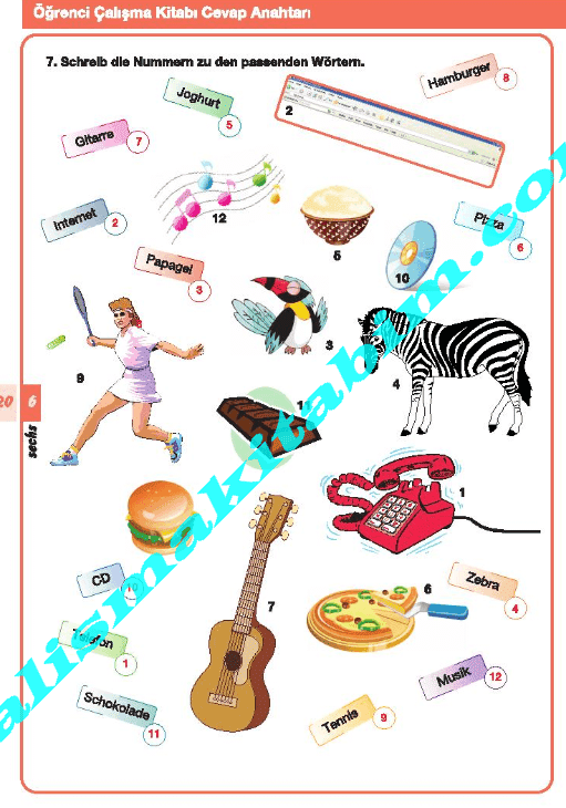 4. SINIF ALMANCA ÇALIŞMA KİTABI CEVAPLARI MEB YAYINLARI SAYFA 6 - Ders