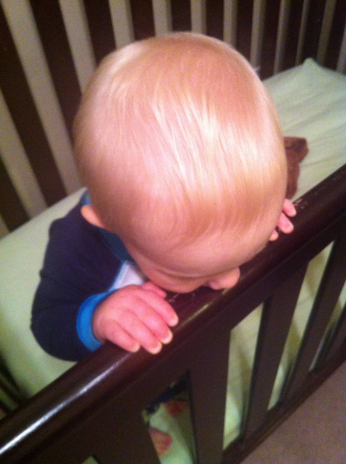 Edible Crib Fix sarah brooks