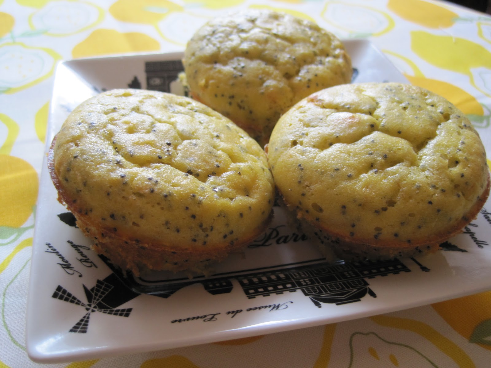 Until The Thin Lady Sings Low Carb GlutenFree Lemon Poppy Seed Muffins