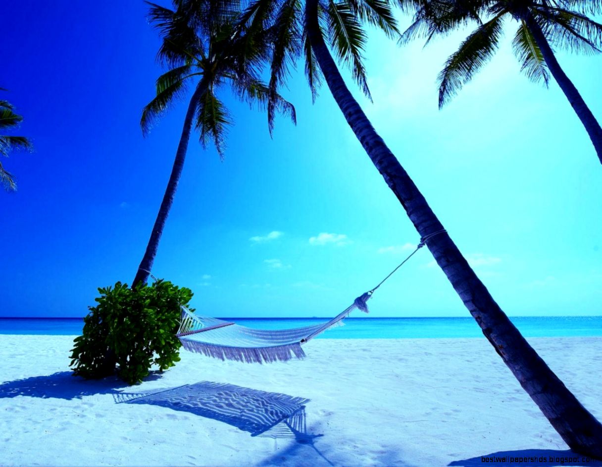 Hammock On Beach Cartoon Hammock On Beach Cartoon