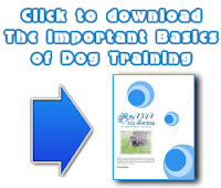  Dog Training Basics FREE download