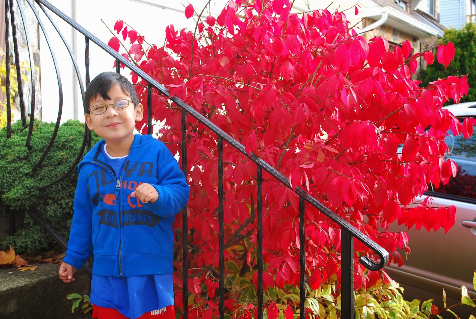 The Truth About Burning Bush Three Years Later