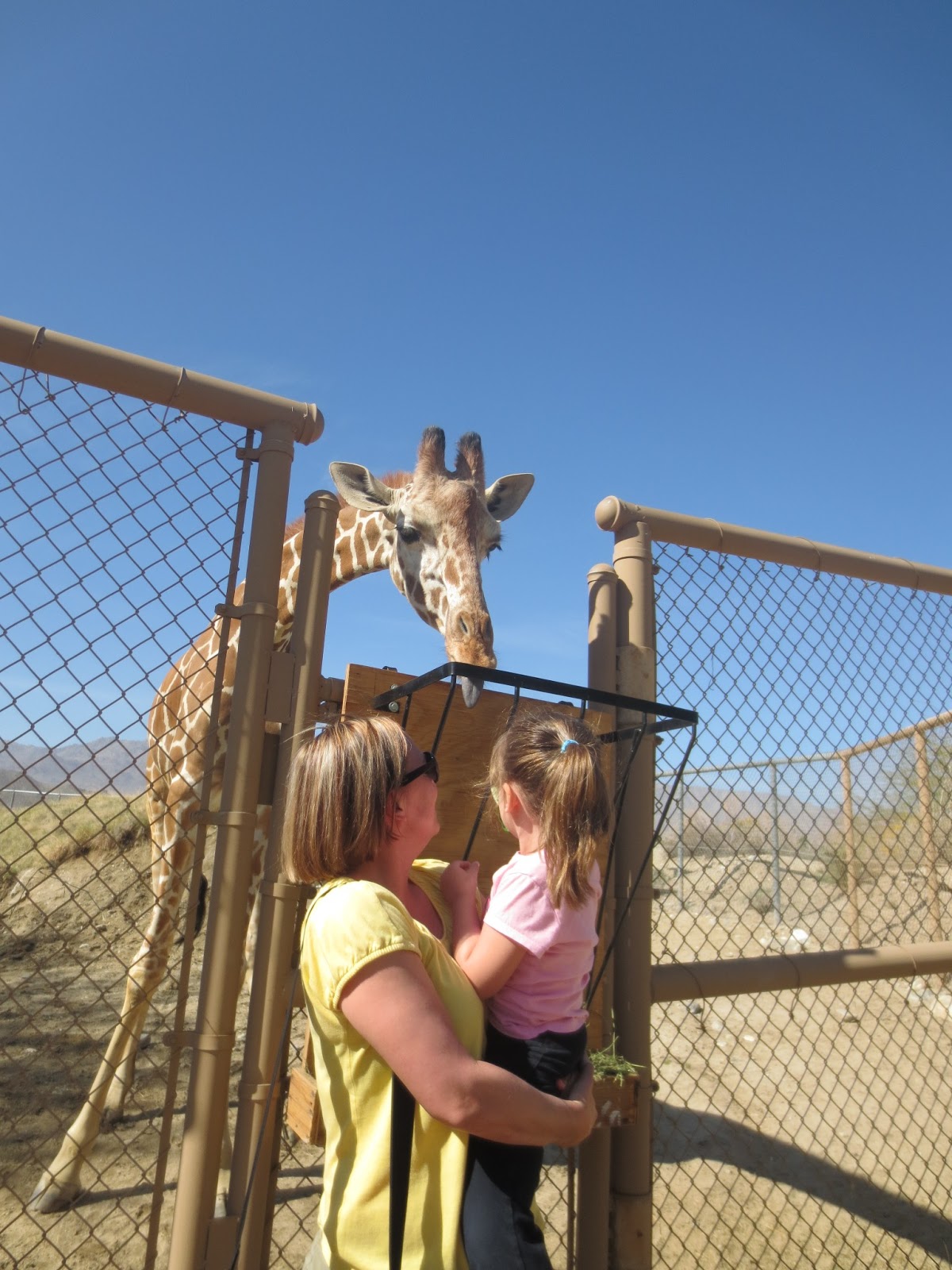 Team Kingman Part 2 Palm Springs Zoo