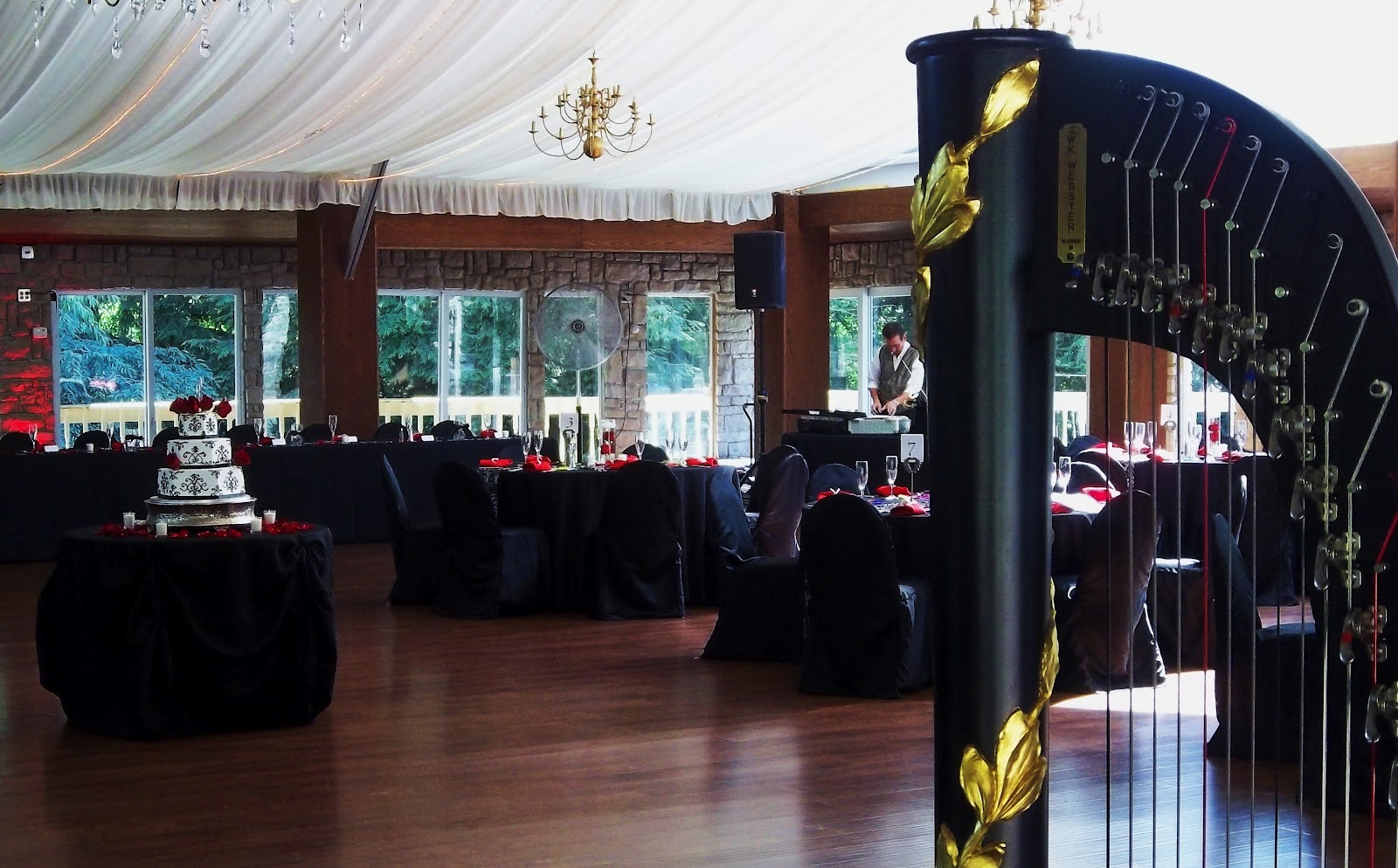 Meyer S Castle Wedding Harp Music For A Reception The Classic