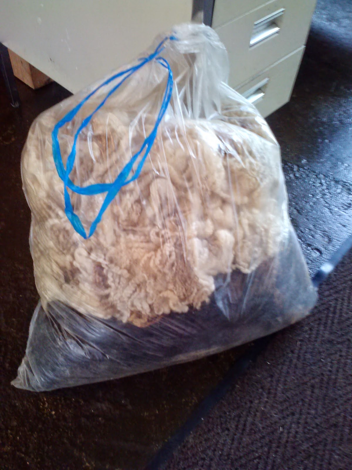 minimeg Processing Raw Wool