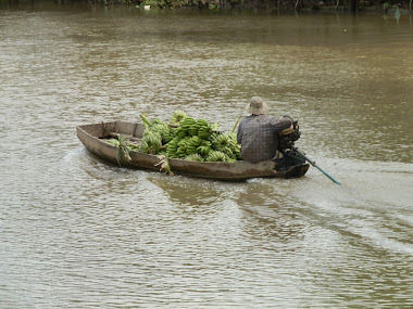marche flottant, Mekong