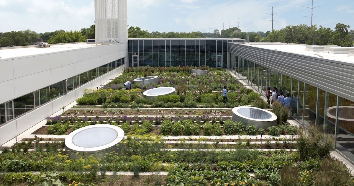 Huerto Urbano: Huerto en una cubierta en Chicago