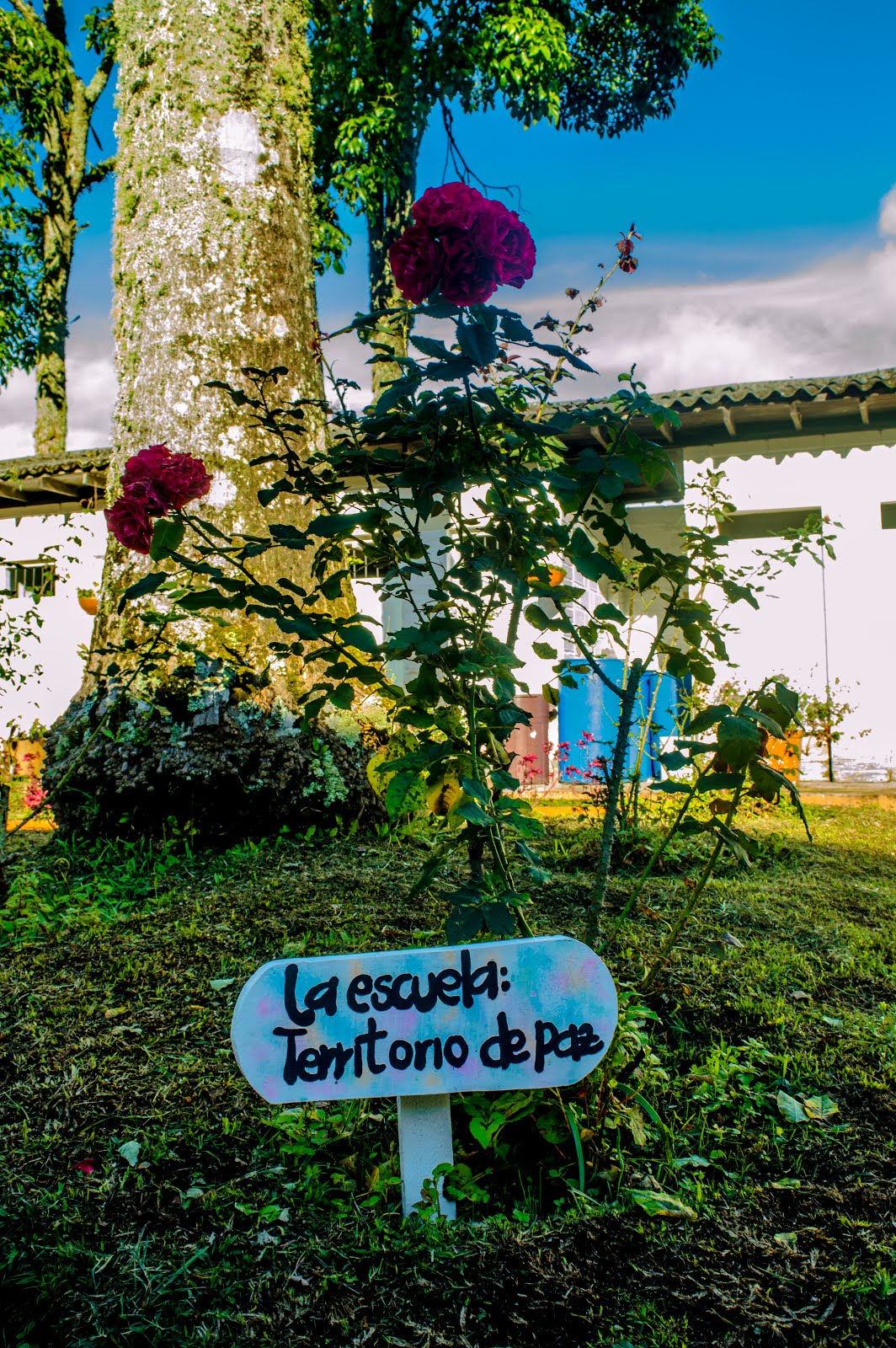 LA ESCUELA: TERRITORIO DE PAZ