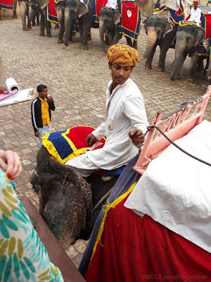 elephant driver, Amber Fort, Jaipur