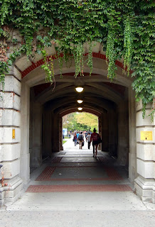 Walking on the Diag on the University of Michigan campus in Ann Arbor