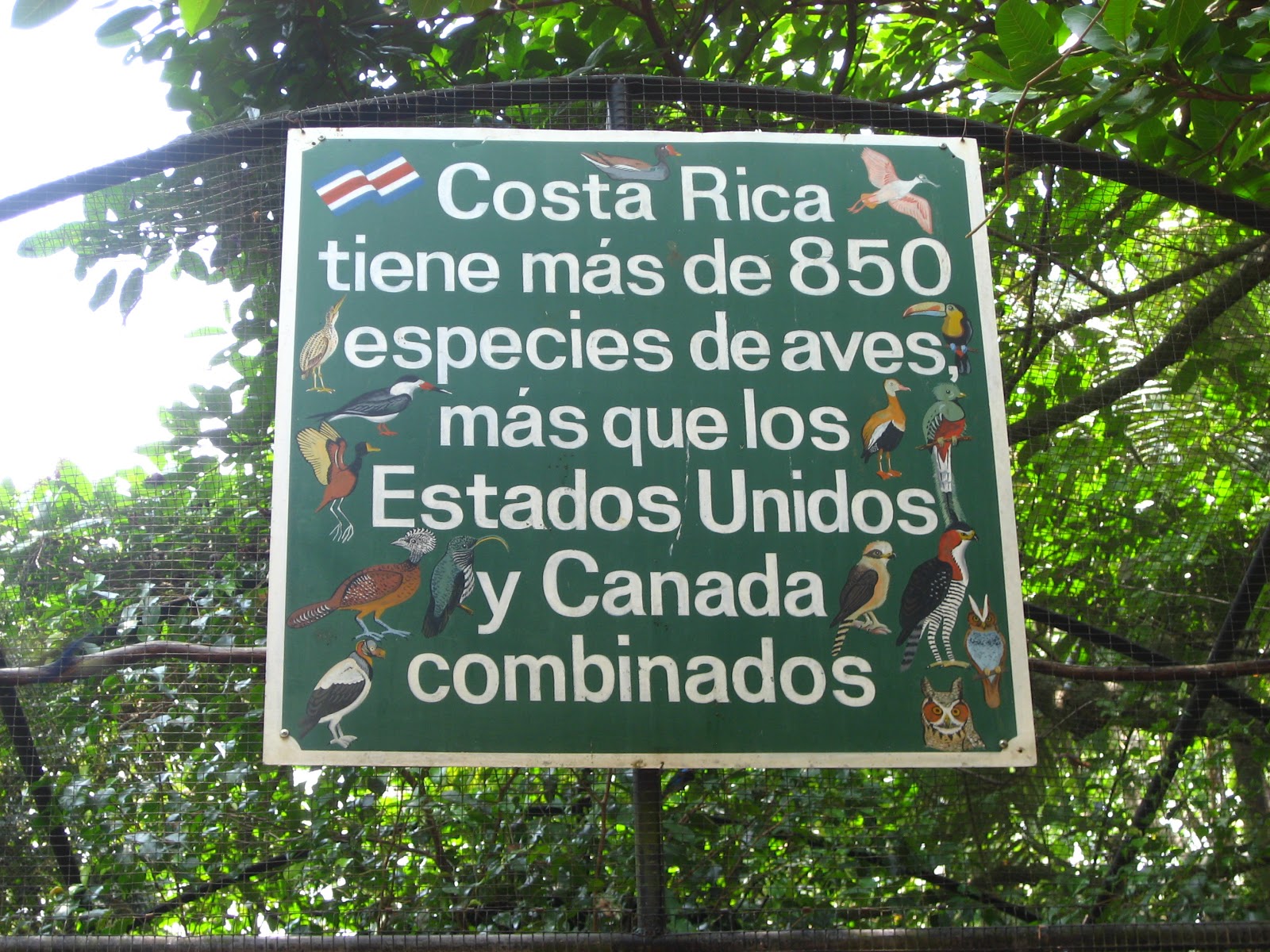 cookbaketravellive Live Costa Rica Zoo Ave