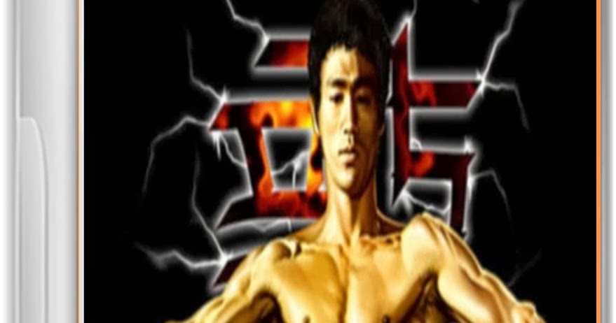 Bruce Lee Call Of The Dragon Game