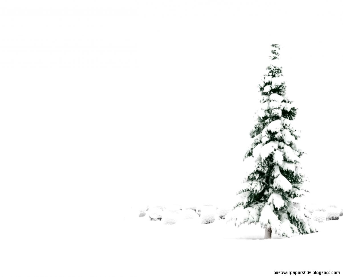 Snowy Christmas Tree Wallpaper Snowy Christmas Tree Wallpaper