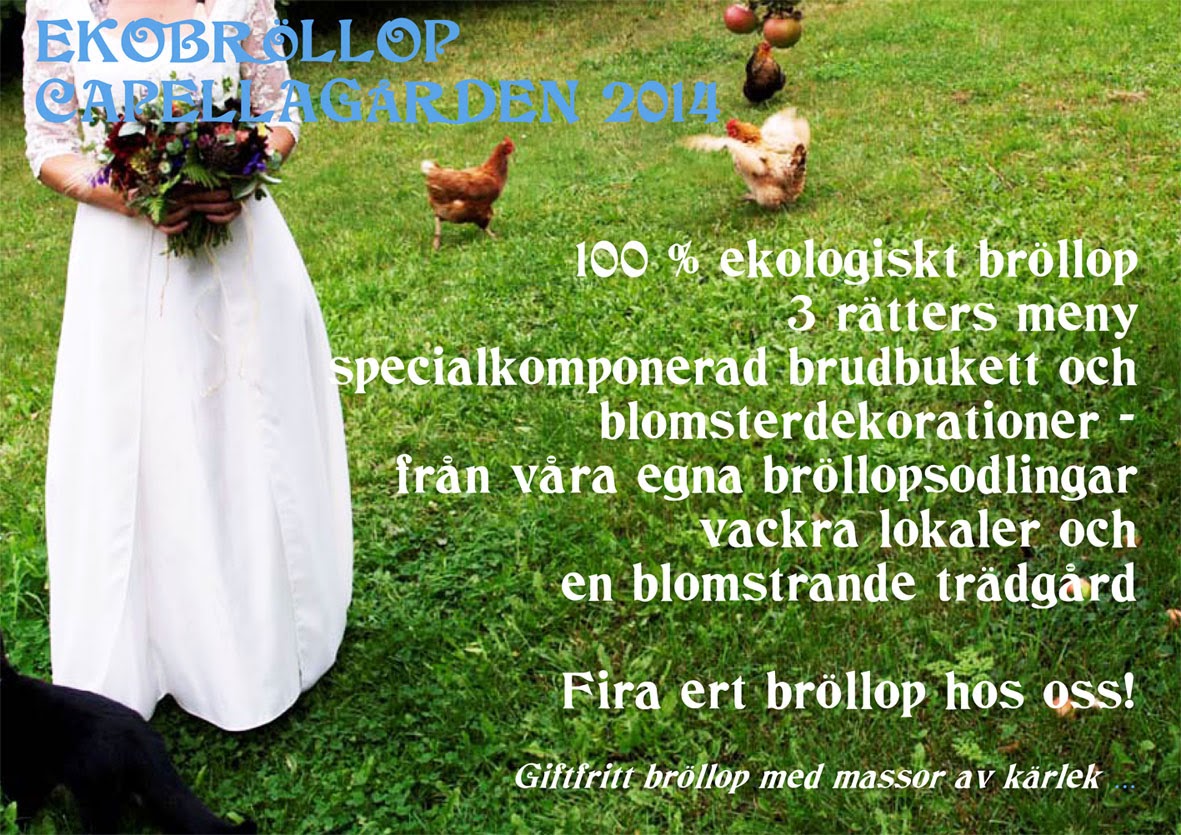 FIRA EKOBRÖLLOP PÅ CAPELLAGÅRDEN