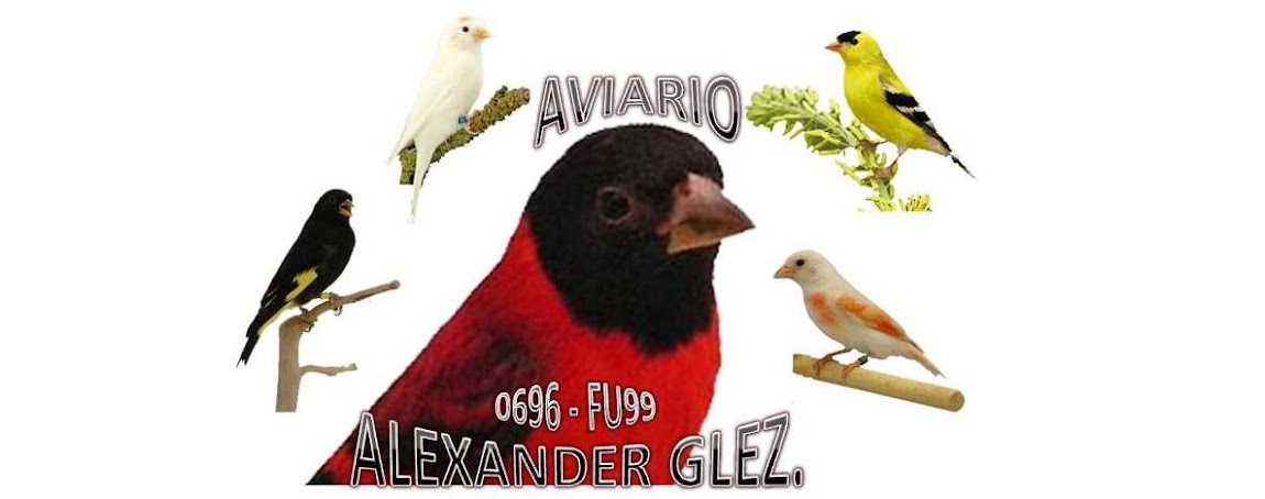 AVIARIO ALEXANDER GLEZ.