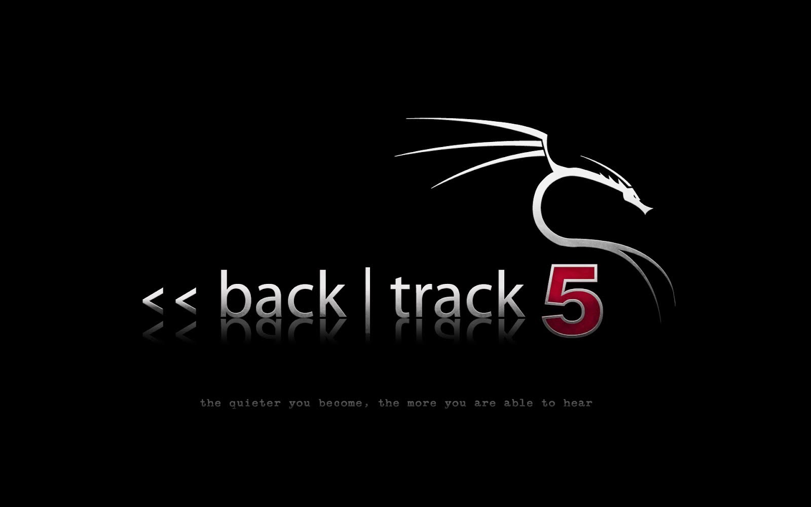 [DIGITAL LIVE] Как запустить сеть в BackTrack 5 Linux