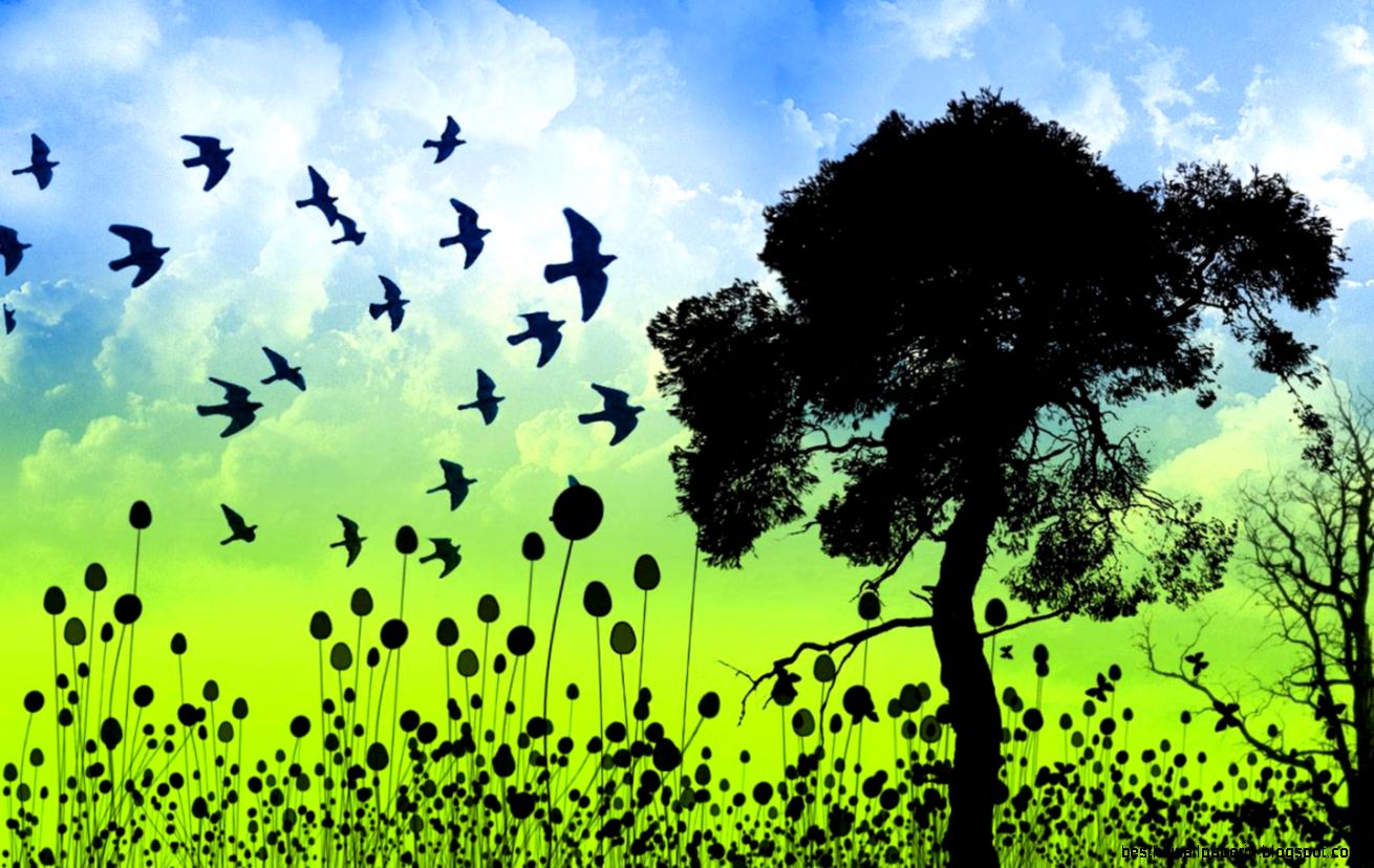 Screensaver Grass Birds Desktop Straw desktop wallpapers 800x600 Screensaver Grass Birds Desktop Straw desktop wallpapers 800x600