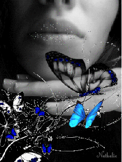Animated Butterflies GIF: Butterflies GIF 1