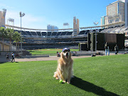 This time we ended up in A Park at the Park. Its called that because it is a . (img )