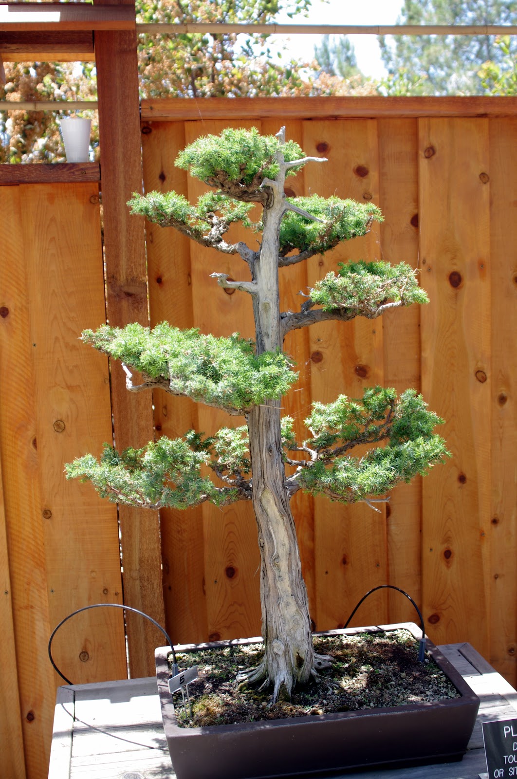 Android And Stuff 09/09/11