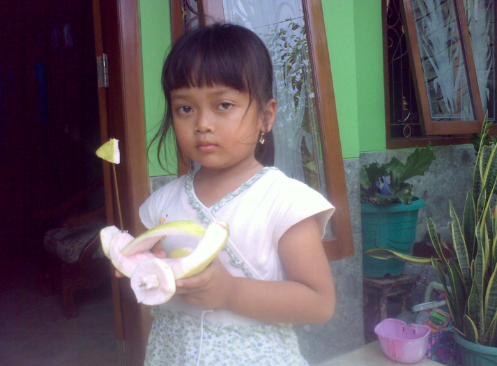 Sekar Gadhing Mainan Dari Kulit Jeruk Bali Sekar Gadhing Mainan Dari Kulit Jeruk Bali