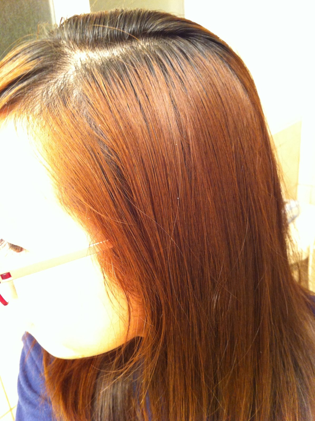 Dream Voyage Liese Prettia Foaming Hair Dye (Rose Tea Brown) Two