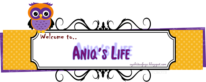 Aniq's Life