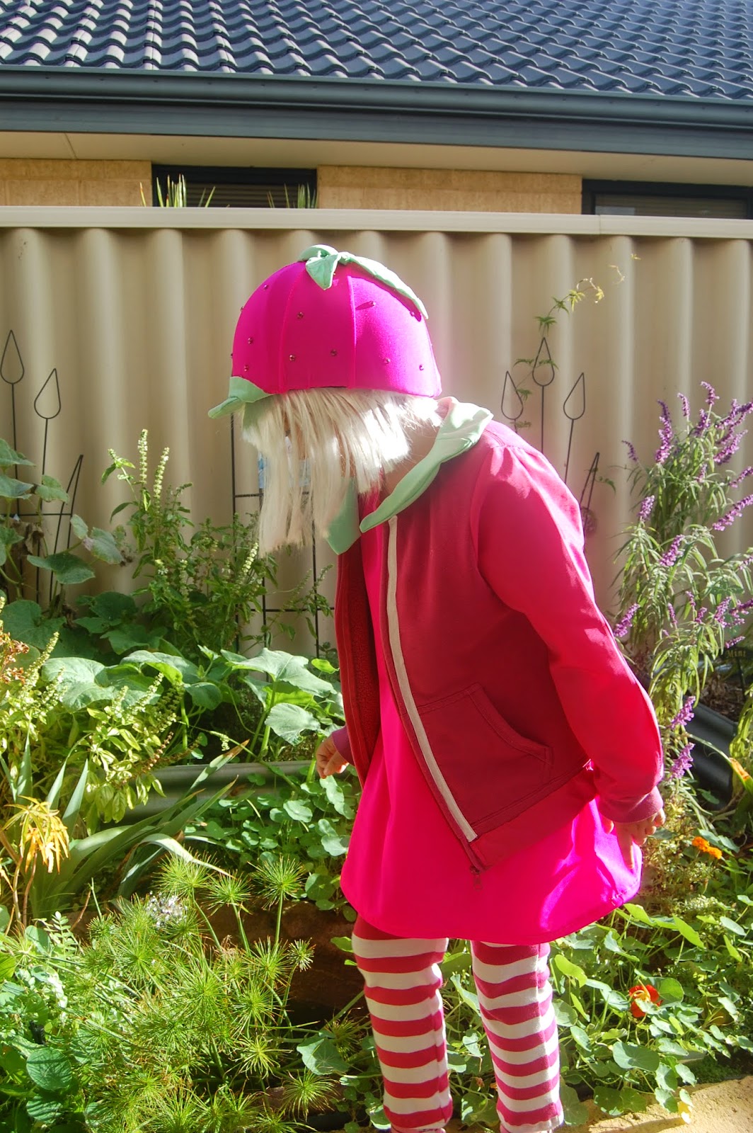 Taffyta Muttonfudge Costume