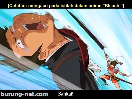 Gintama Parody Bleach Episode 50