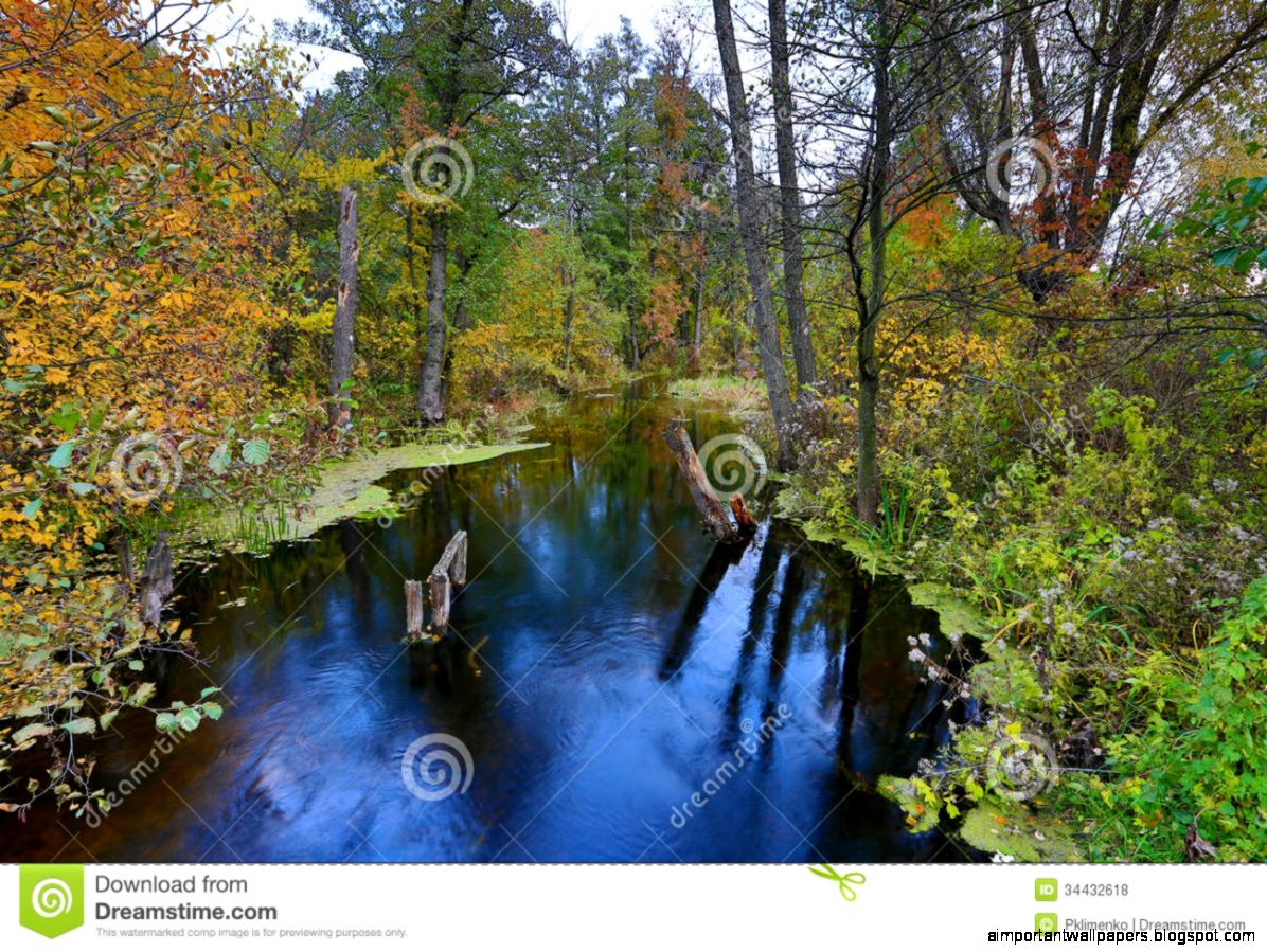 Blue River In Forest Royalty Free Stock Photos Image 34432618 Blue River In Forest Royalty Free Stock Photos Image 34432618