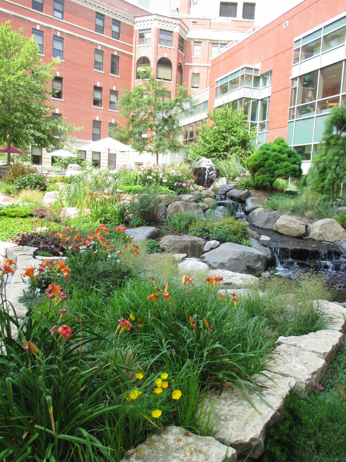 Rotary Botanical Gardens Hort Blog Healing Gardens