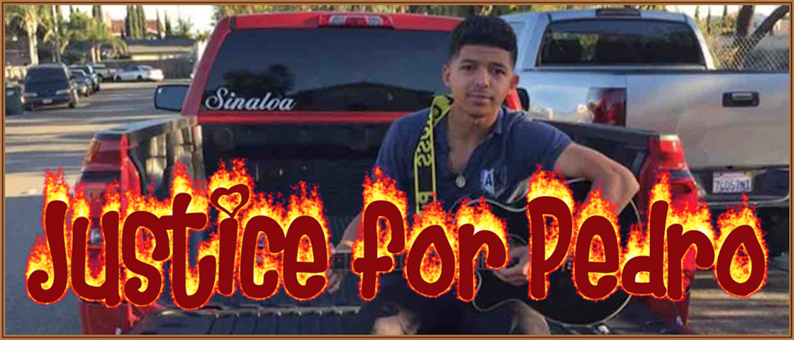 Justice for Pedro
