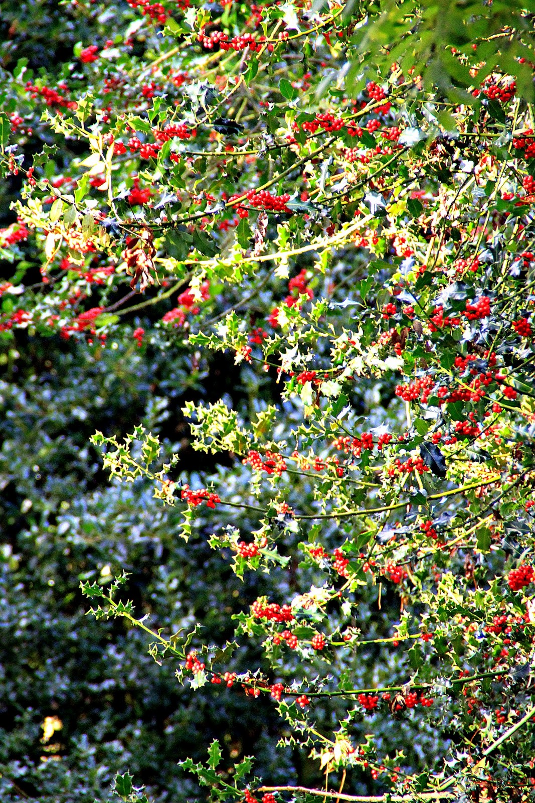 South Park The Fractured but Whole REPACK Download Torrent