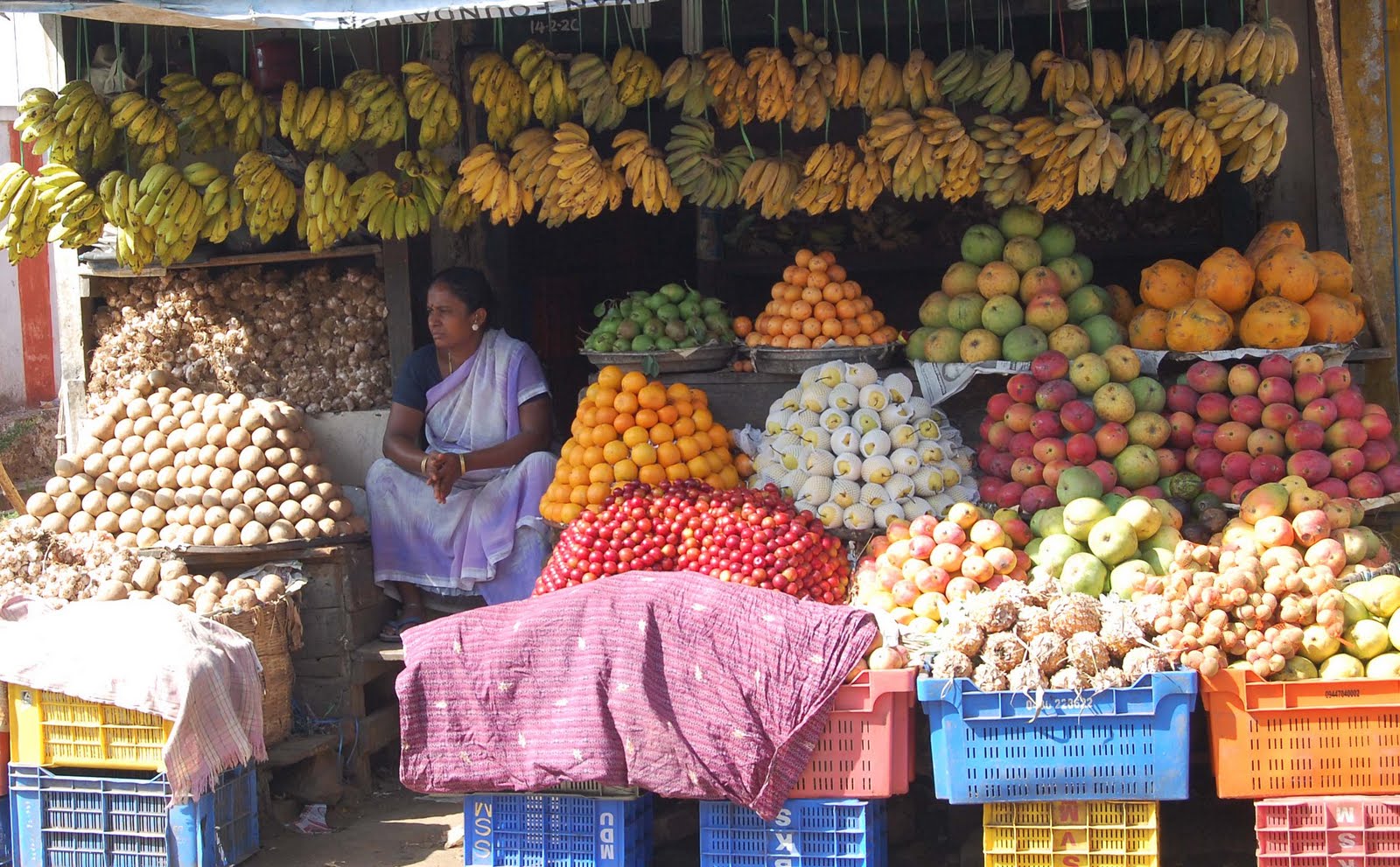 No words to say Summer special Fruits Kodaikanal