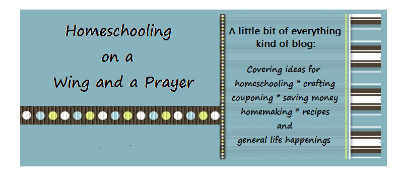 Homeschooling on a Wing and a Prayer