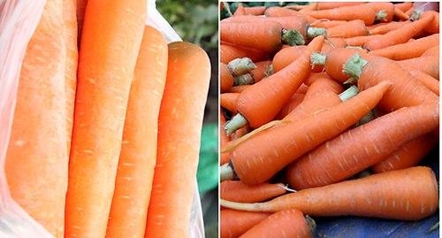 Cách phân biệt cà rốt của Trung Quốc với cà rốt của Việt Nam
