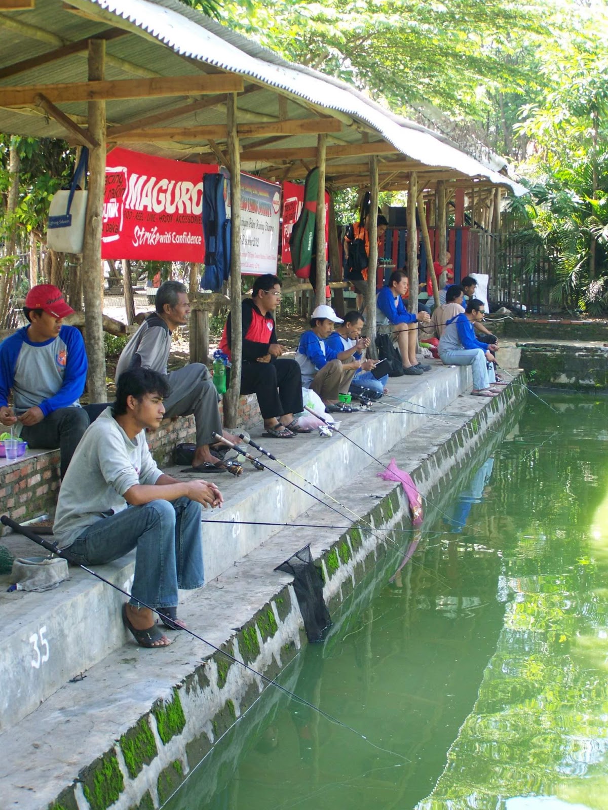 Resep Dasyat Umpan Ikan Mas Di Segala Cuaca