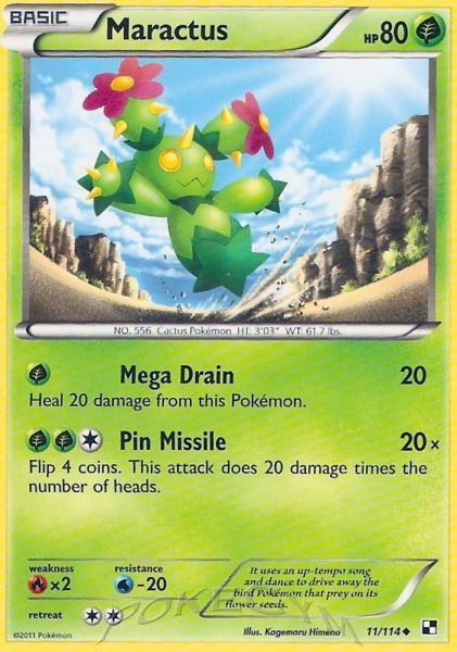 Featured image of post Cactus Pokemon Card